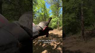 Extreme Hillside Land Clearing: Turning Dense Cedar into Fine Mulch