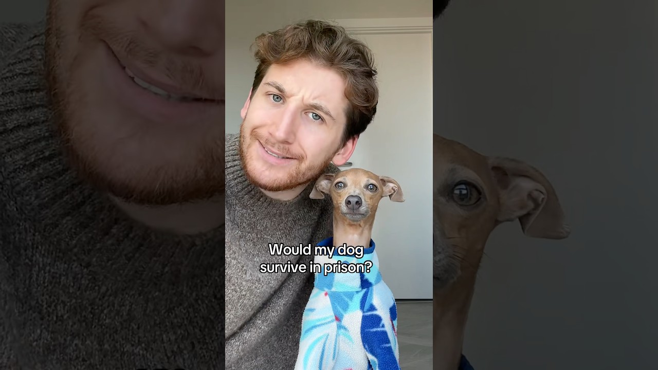 Would my dog survive prison? 