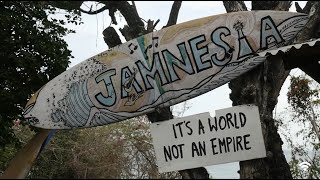Billy Mystic: Jamnesia Surf Camp in Bull Bay, Jamaica