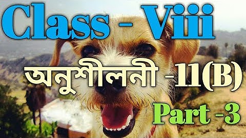 Class 8 Math Ex-11(B) Part 3 Solution in Assamese/Babu