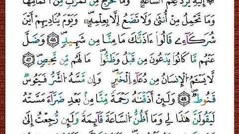 ختمة مصحف التجويد برواية قالون الصفحة رقم 482