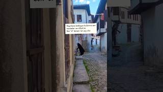 Kendini Fazla Yorma.herşey, Allahın Takdiri Ile Olur.allaha Güven