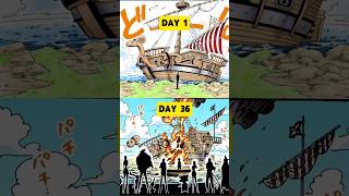 Straw Hats Used The Going Merry For Barely A Month onepiece shorts luffy goingmerry zoro nami
