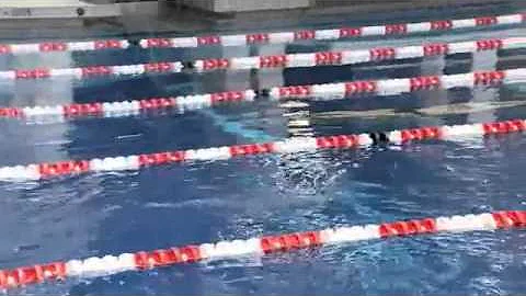 Schmitt, Phelps learn from each other