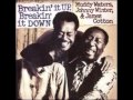 Trouble No More Muddy Waters Johnny Winter James Cotton Breakin It Up Breakin It Down mp3