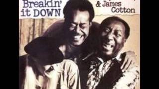 Video voorbeeld van "Trouble No More Muddy Waters, Johnny Winter & James Cotton Breakin' It Up & Breakin' It Down"