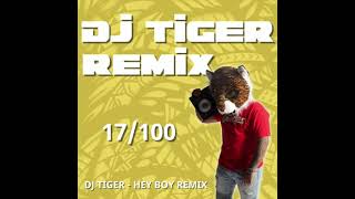 DJ TIGER - Sia feat. Burna Boy - HEY BOY REMIX
