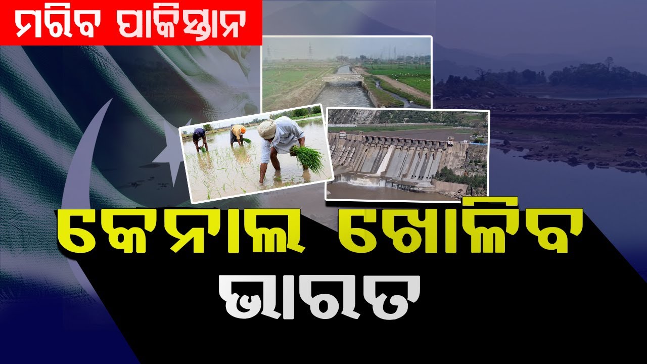 ମରିବ ପାକିସ୍ତାନ...କେନାଲ ଖୋଳିବ ଭାରତ || Sindh Water Problem || BADA KHABAR TV