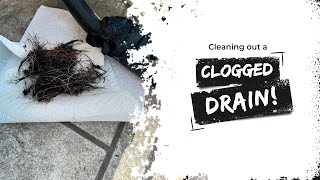 Unclogging the Drain for a Customer!
