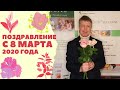 Поздравление с 8 марта!