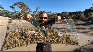 CATCH n COOK YABBIE hunt (crawfish, crawdad)