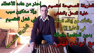 @كيفية تقسيم النحل/طريقة تقسيم النحل بالنفض/طريقة سهلة الدرس التاني مع أبوأدم فهمي