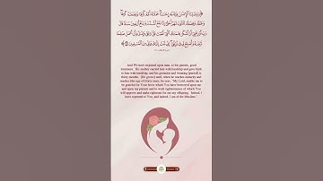 ماهر المعيقلي سوره الاحقاف (ووصينا الإنسان بوالديه) #قرآن #ماهر_المعيقلي