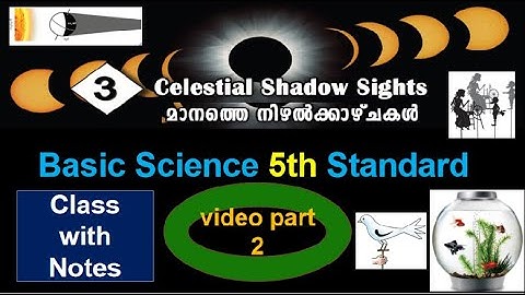 Basic Science 5th Standard |Chapter 3| Video Part-2| Celestial Shadow Sights|മാനത്തെ നിഴൽക്കാഴ്ച്ചകൾ