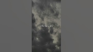 سورة طه آية رقم ١٢٤ للقارئ شريف مصطفى