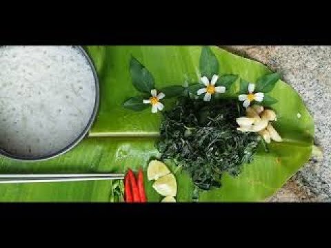 Video Cây Rừng Ăn Được | Xuyến Chi xào tỏi | Video 01 - youtube