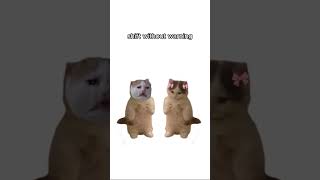 🐱Kitty Explains Autism🐱 Profile