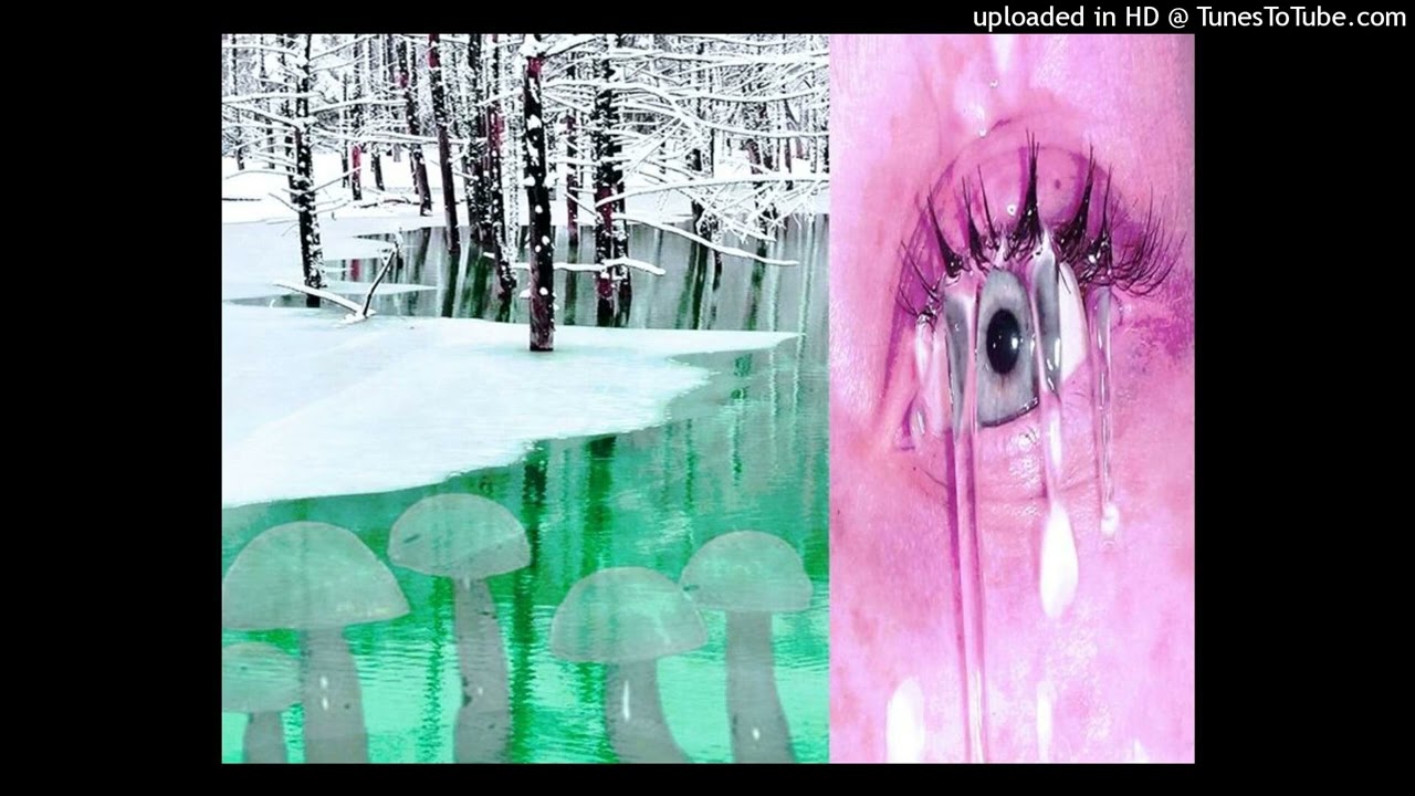 draingang + bladee + whitearmor type beat