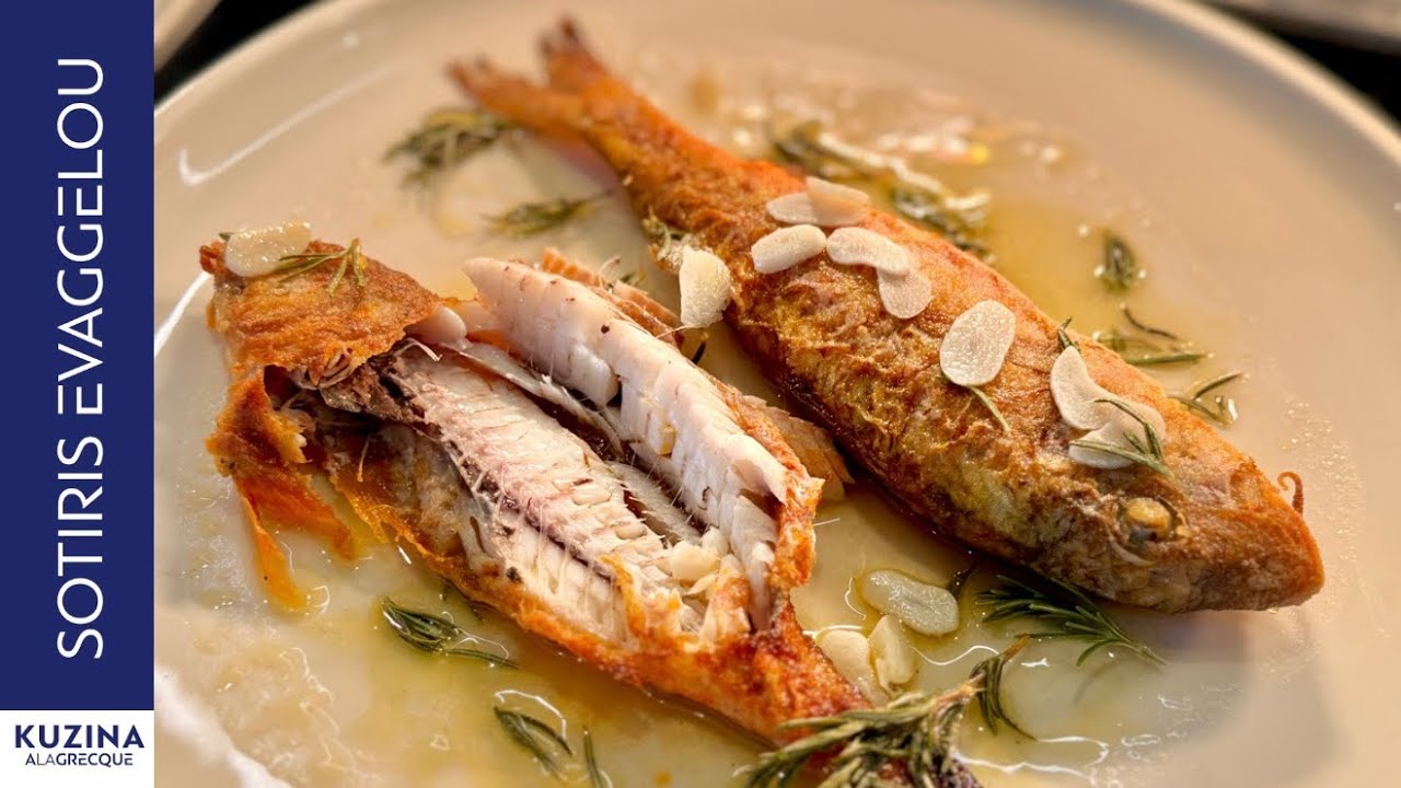 Μπαρμπούνια Σαβόρο | Sotiris Evaggelou