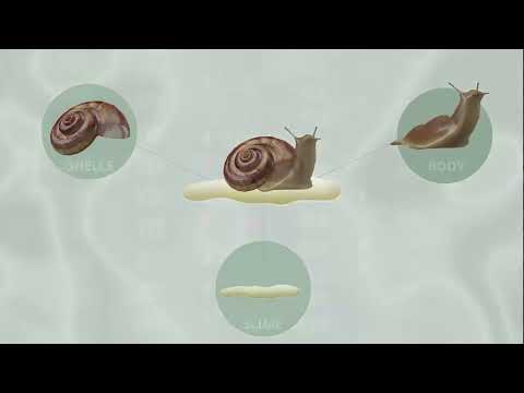فيديو لفريق جامعة عين شمس الحائز على المركز الثالث في مسابقة أيناكتس 