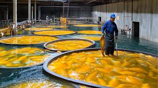 Korea's Top 5 Fish Farming and Seafood Manufacturing Processes | by @KingFood