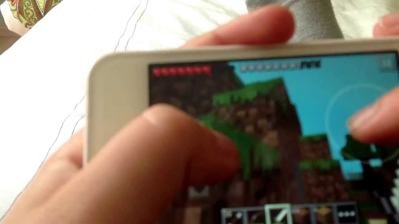 Minecraft video heilige kip