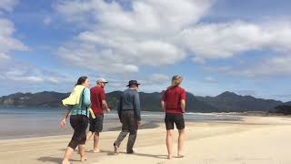 Great Barrier Escape - Walking Legends Guided Walks