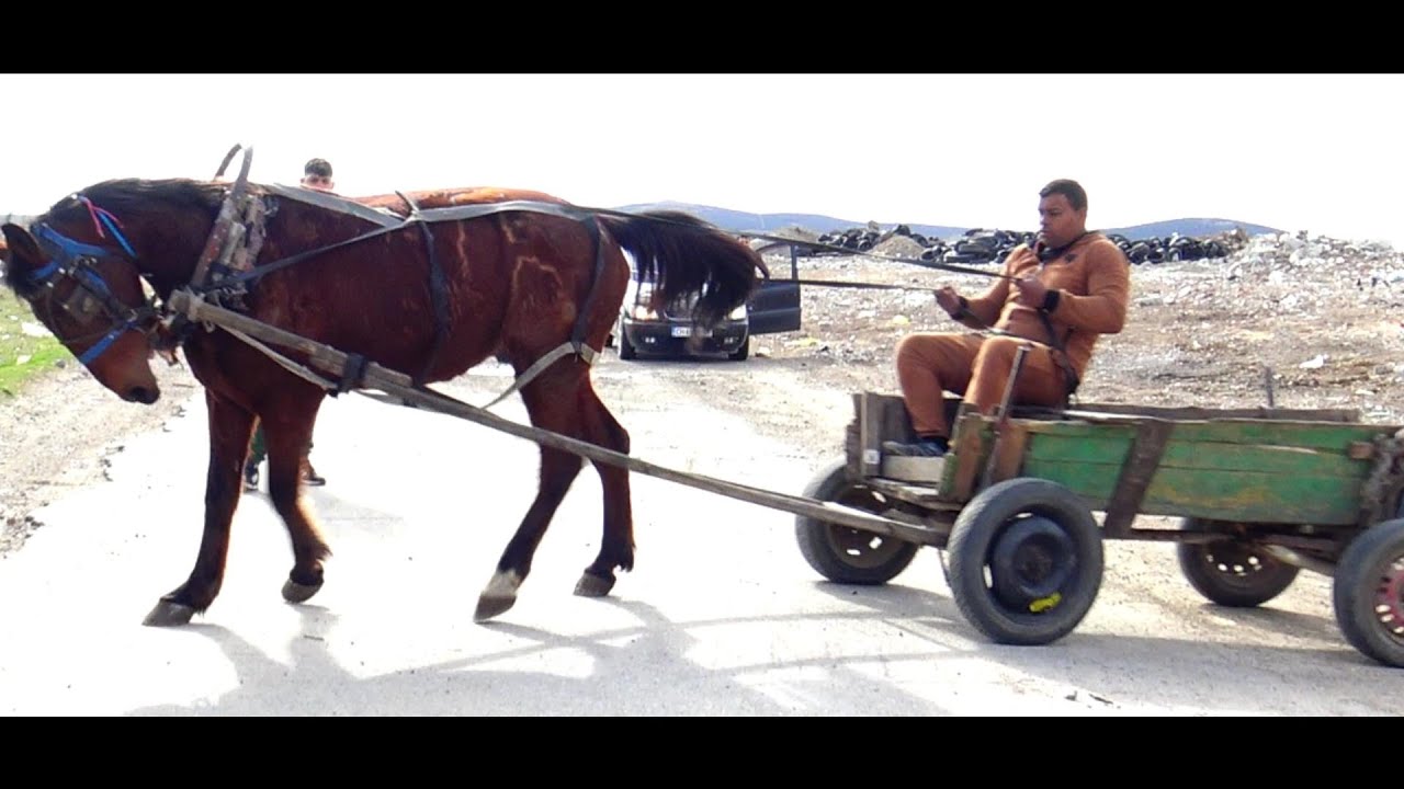 Кошията На Интити 2023 г