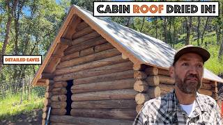 Famous #875 - Log Cabin Roof Dried In. Detailed Wooden Eaves. Deer Compost Pumpkin Patch. Net Worth