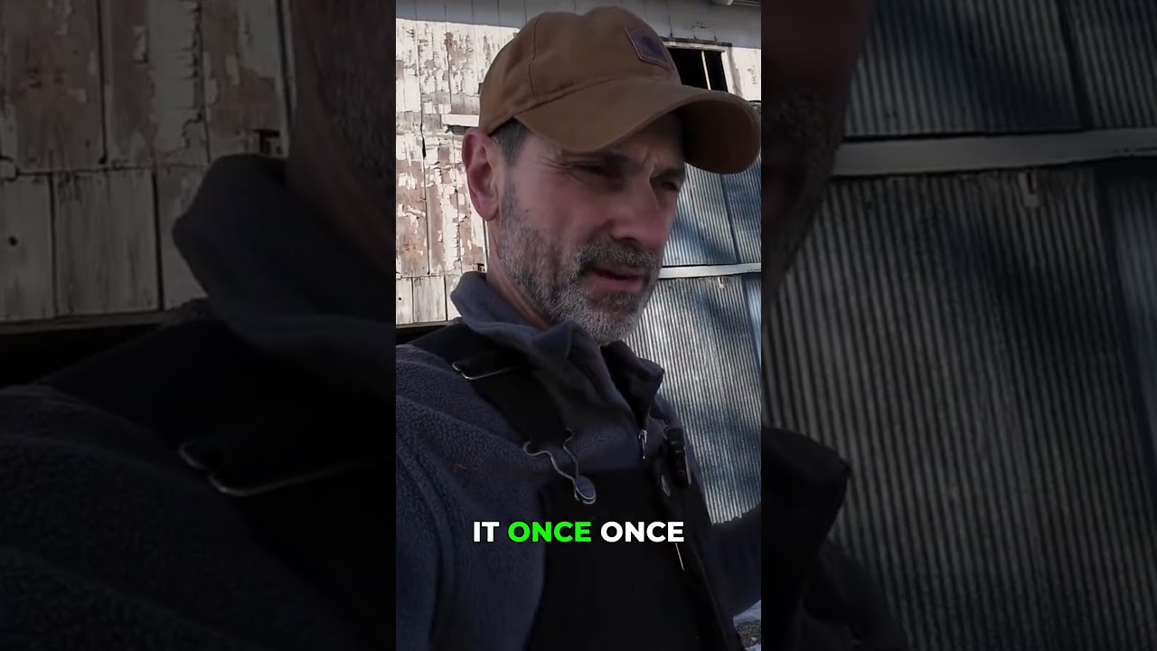 Зола от сжигания угля против древесной золы: разница в плотности!