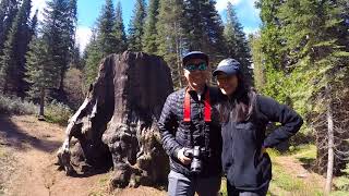Kings Canyon National Park (1/4) - General Grant, Chicago Stump, Grizzly Falls / 4K VLOG