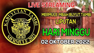 LIVE FULL [ HARI MINGGU ] MERMUL / UNJUNGAN BUYUT TAMBI 2022