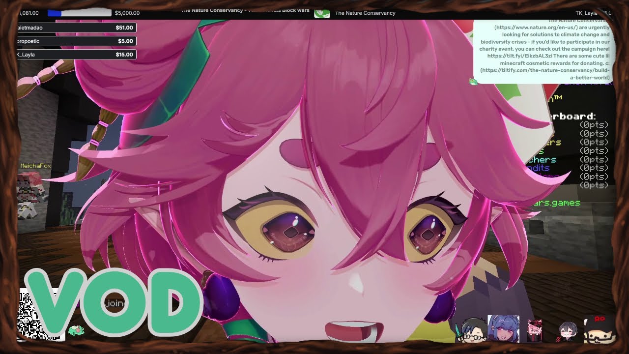 twitch-rivals-nature-conservancy-charity-event-c-2024-12-03-youtube