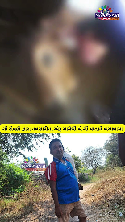 ગૌ સેવકો દ્વારા નવસારીના એરૂ ગામેથી બે ગૌ માતાને બચાવાયા