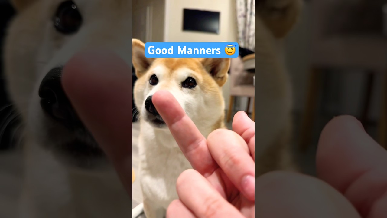 Good manners only 😇 