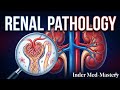 Kidney Congenital Disorders (Horseshoe, potters, PKD, Duplex C.S, etc.) [HINDI] | Pathology 