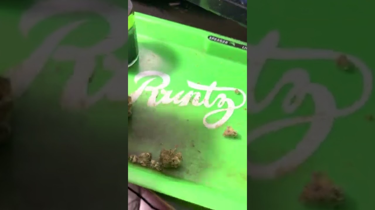 Kings garden kings cake review