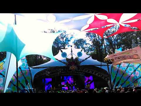 1200 Micrograms -