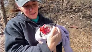 Pemasangan pertama kali alat pengintip tanpa pin