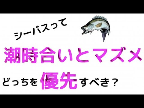 シーバスゲーム必須項目！マズメと潮位時合の優先率！