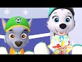 Paw Patrol A Day in Adventure Bay - Rocky, Everest, Ryder Rescue Mission! - Fun Pet Kids Games