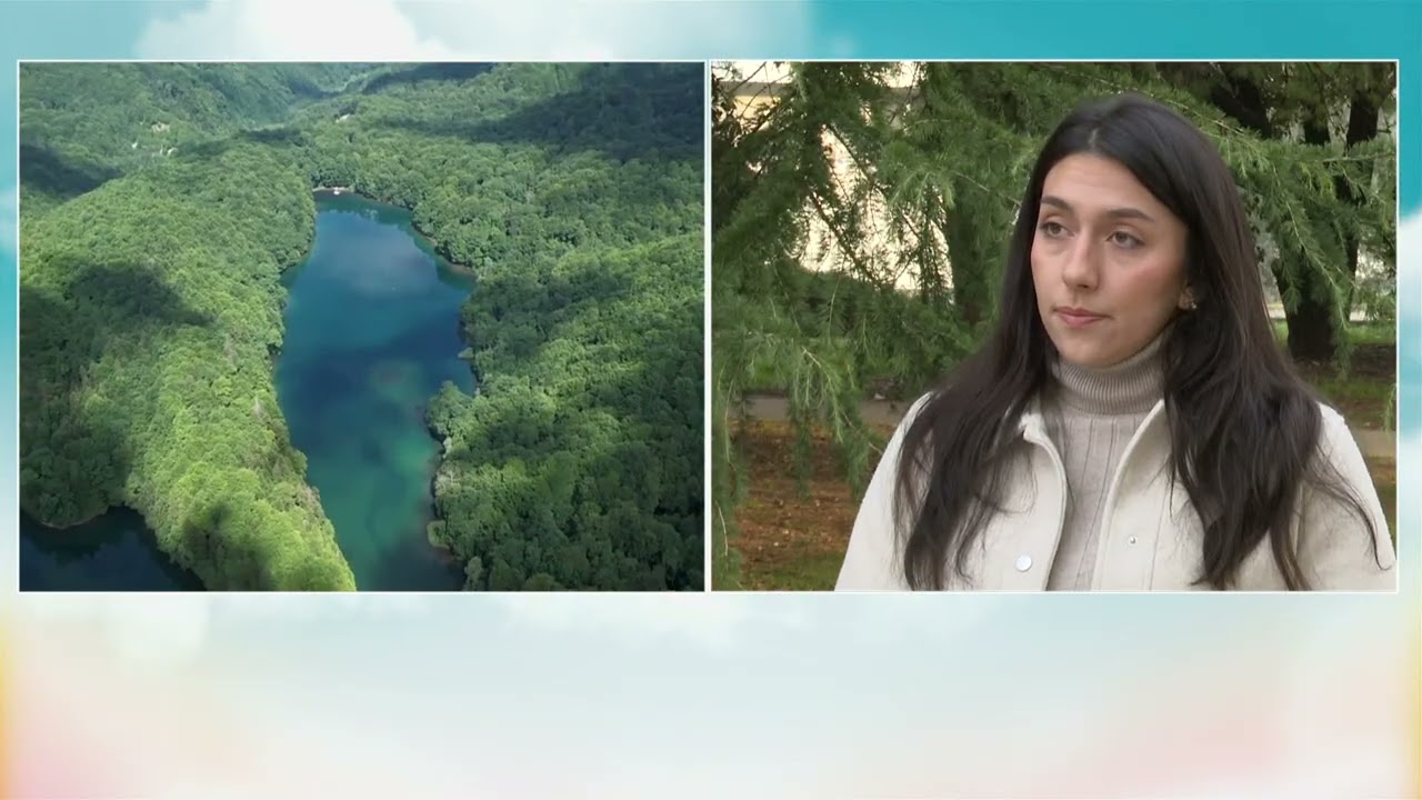 BOJE JUTRA - DIVLJI SVIJET CRNE GORE (SANJA KOVAČEVIĆ) | Vijesti online