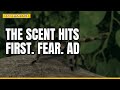 The scent hits first. Fear. Adrenaline. Blood.