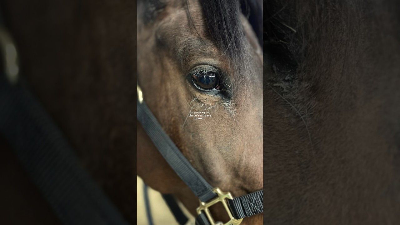 in your eyes 🫶🏼 