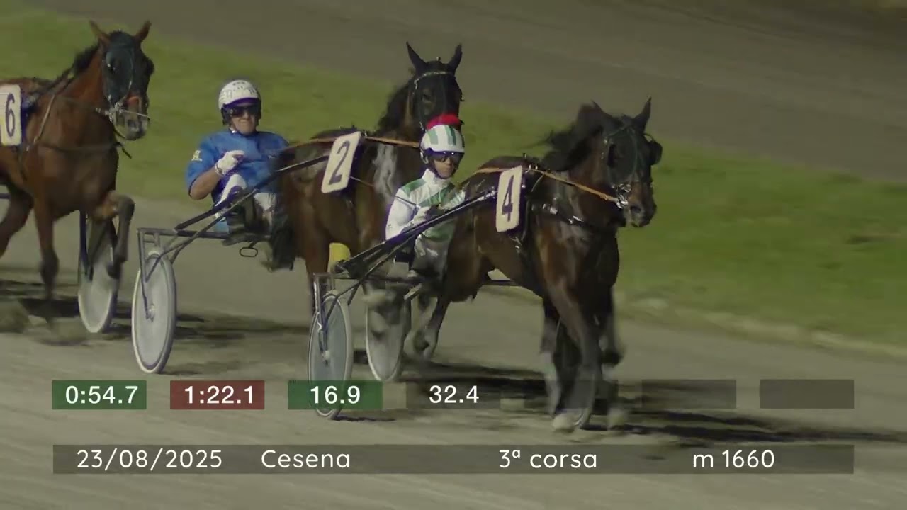 2025 08 23 | Corsa 3 | Metri 1660 | Premio Allevamento Sergio Carfagna