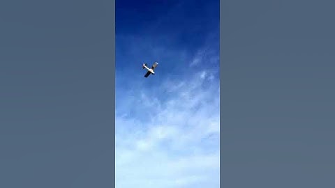 Apprentice S 15e RTF - Maiden Flight + CRASH