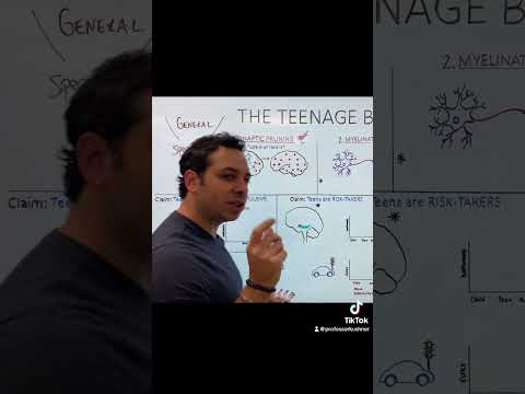Synaptic Pruning #synapse
