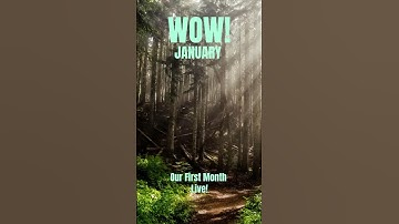 Our January was action packed! Let us share our story. #rainforest #gamedev #reforestation