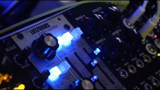 Pittsburgh Modular Lifeforms Primary Oscillator - Eurorack Module