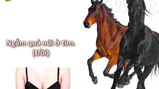 Download Lagu Tôi sẽ cưỡi con ngựa về lối đi xưa :))) Old Town Road tiếng việt MP3 Download Lagu Tôi sẽ cưỡi con ngựa về lối đi xưa :))) Old Town Road tiếng việt MP3